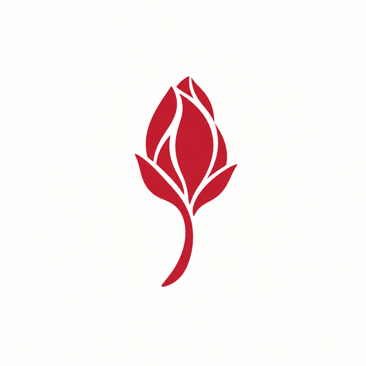 A closed red rosebud on a curved stem, the Bud stage